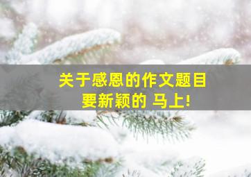 关于感恩的作文题目 要新颖的 马上!